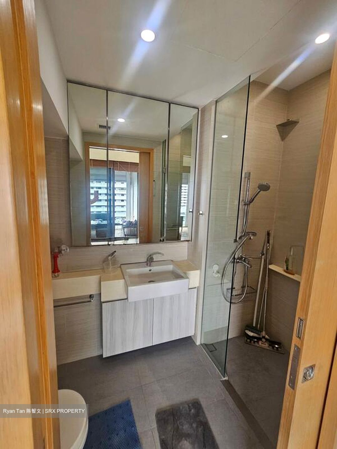 Seventy Saint Patrick's (D15), Condominium #639019301